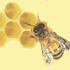 Bee (href)