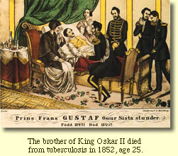 The brother of King Oskar II died from tuberculosis (painting)